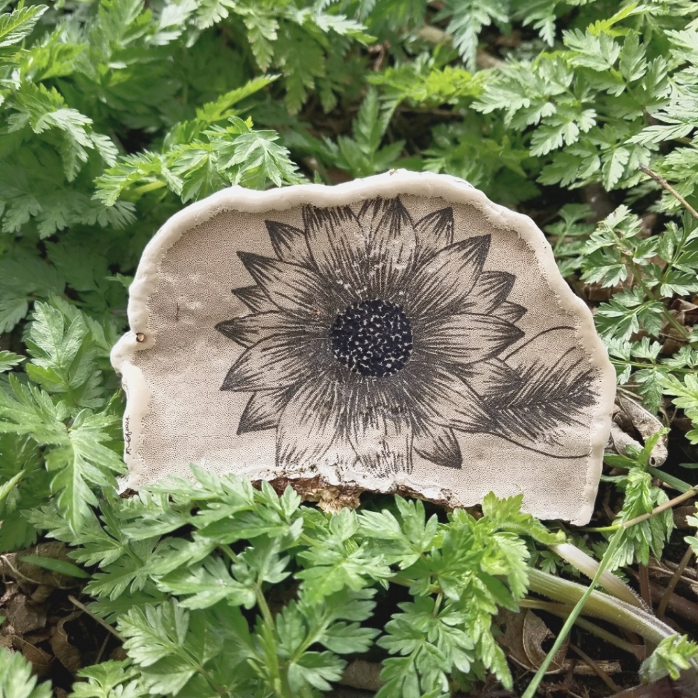 Sunflower - hand drawn on bracket fungus